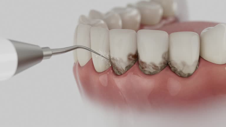 Reliable Dental contractor in Harvey, ND by Dentist Open Now